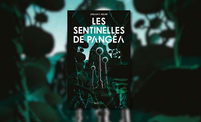 Les Sentinelles de Pangéa : roman introductif à la fantasy YA