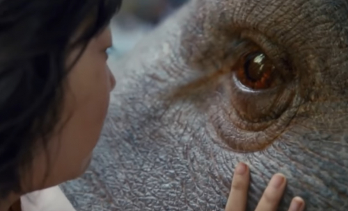 Okja s'offre une featurette avant sa sortie sur Netflix
