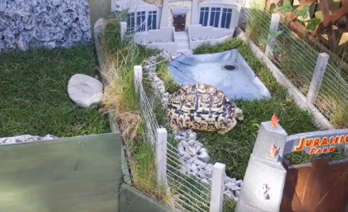Un fan construit un Jurassic Park pour sa tortue
