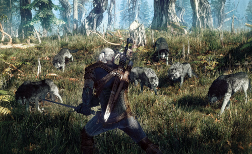 E3 2014 : Une vidéo de gameplay pour The Witcher 3: Wild Hunt