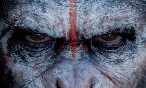 Dawn of the Planet of the Apes: de nouvelles images dans un trailer japonais