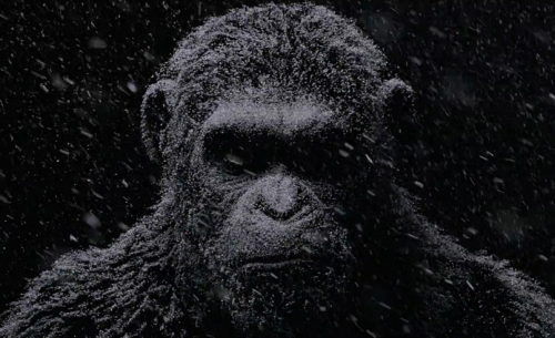 De premières infos sur War for the Planet of the Apes émergent de la NYCC