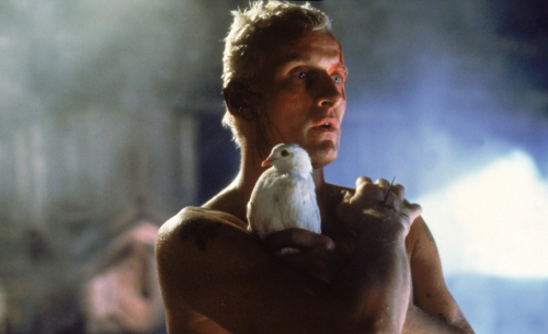 L'un des Réplicants de Blade Runner pourrait revenir (numériquement) dans 2049