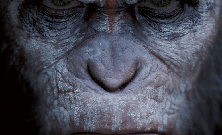 Découvrez la bande-annonce de Dawn of the Planet of the Apes