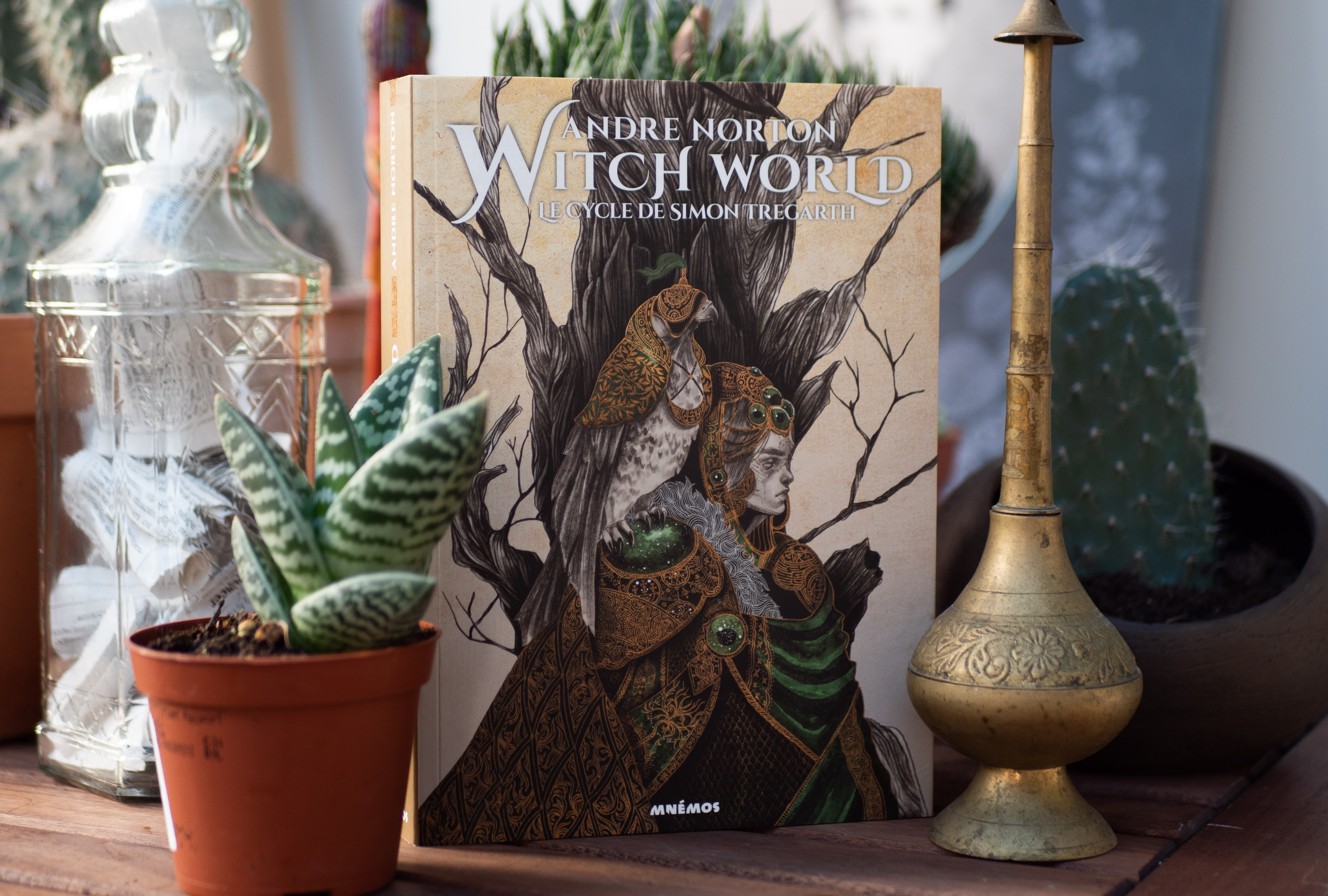 Photo du roman Witch World de Andre Norton